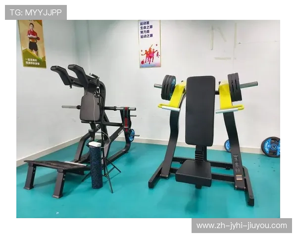 黑黄风暴来袭大黄蜂功能性健身器材开箱测评